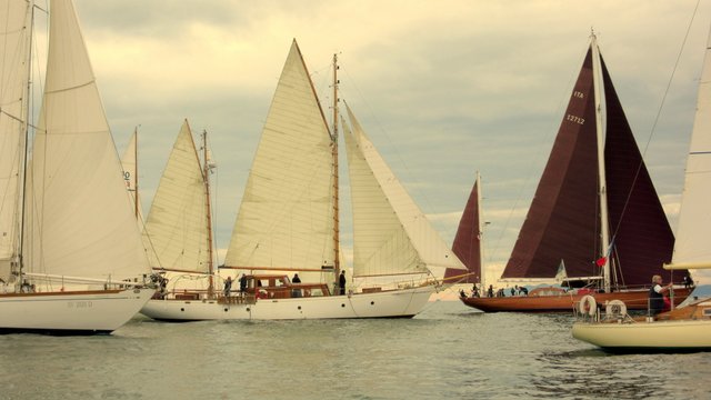 Flotta VSV in regata Foto Maccione