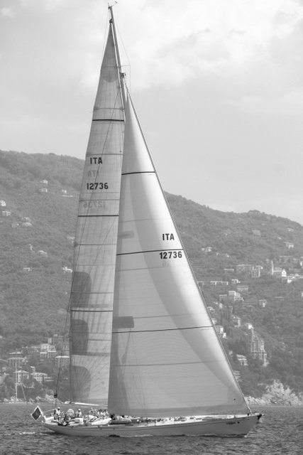 Whitefin in regata 3