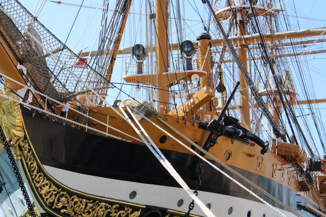 La conferenza sullAmerigo Vespucci Foto Maccione 19