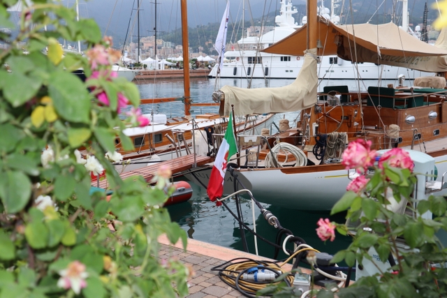 Classic Boat Show Yacht Garden Foto Maccione