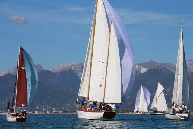 Regata Vele Storiche Viareggio Foto Maccione