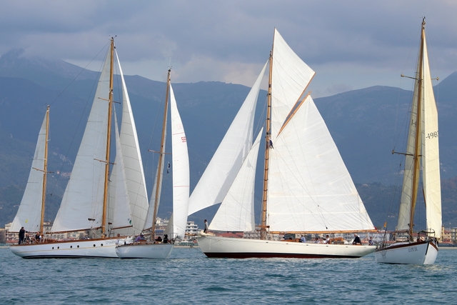 Vele Storiche Viareggio regata Foto Maccione 1