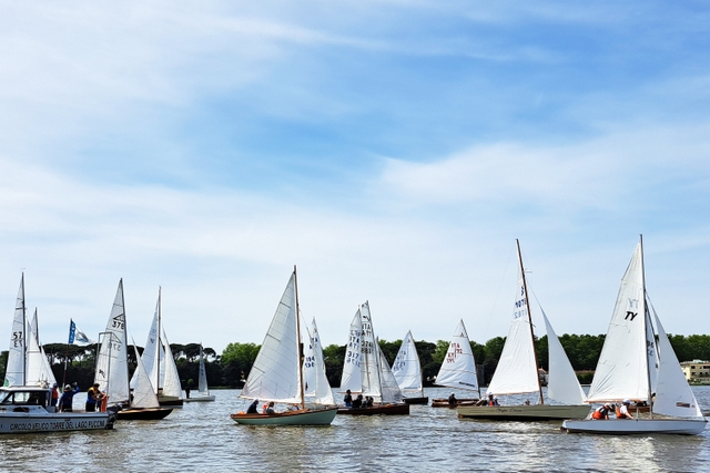 Regata Vele Classiche Puccini