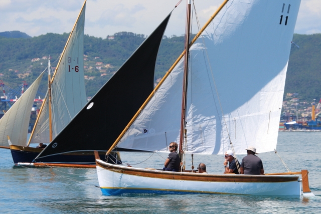 Vele latine in regata Foto Maccione 1