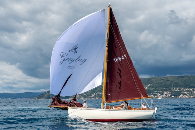 Greylag 1932 Foto Blue Passion