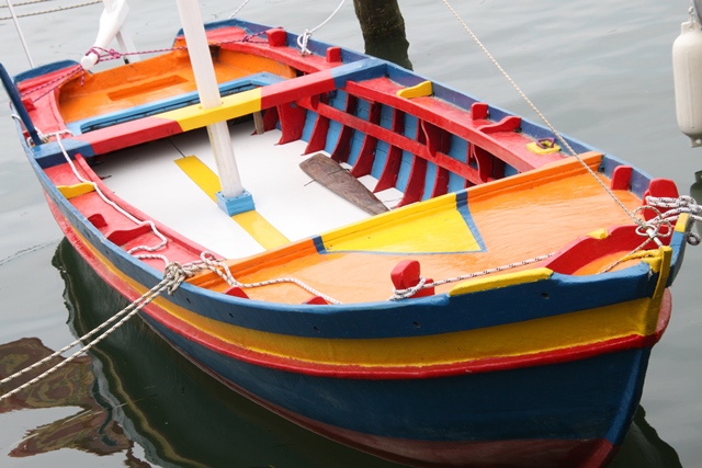 Un topo di Venezia (Foto P. Maccione)