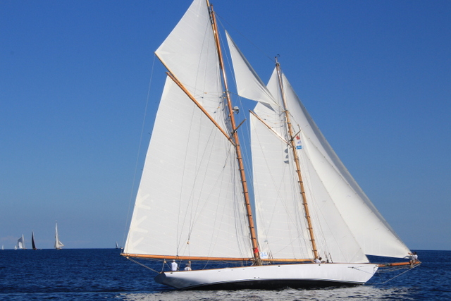 Kelpie of Falmouth Foto Maccione