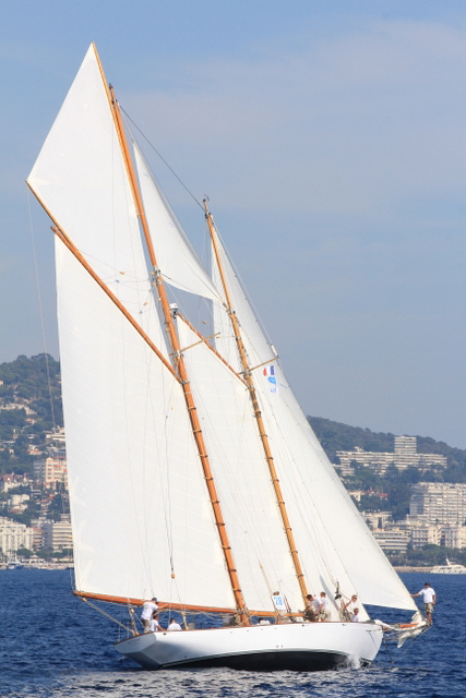 Kelpie of Falmouth Foto Maccione