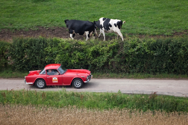 Rally auto d'epoca