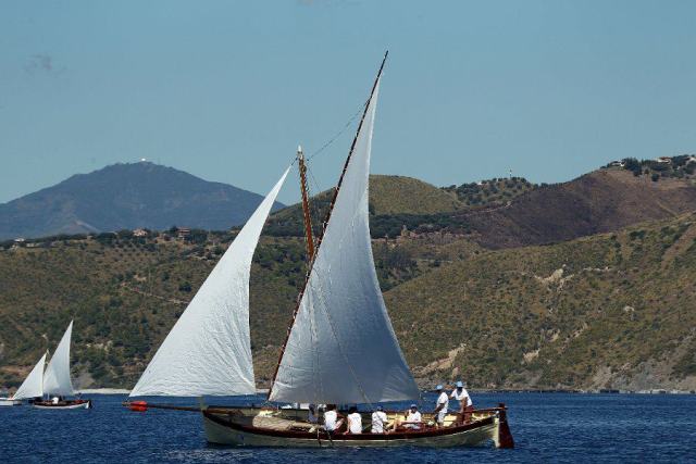 Delfino nella Regata Tre torri a Pisciotta nel 2010